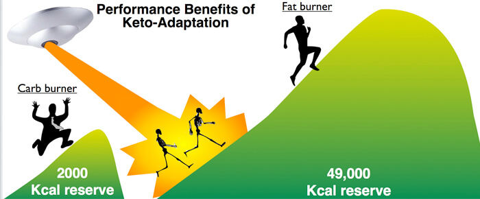 Athletes Consuming Ketogenic Diets Have the Fuel Reserves to Handily Outperform Those Following Typical High-Carb Diets