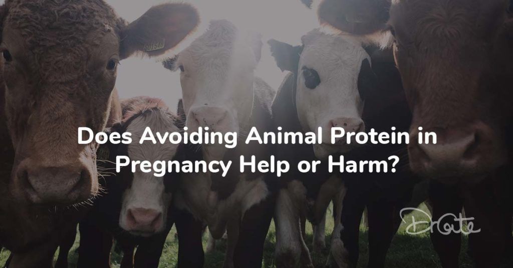 Does Avoiding Animal Protein in Pregnancy Help or Harm?