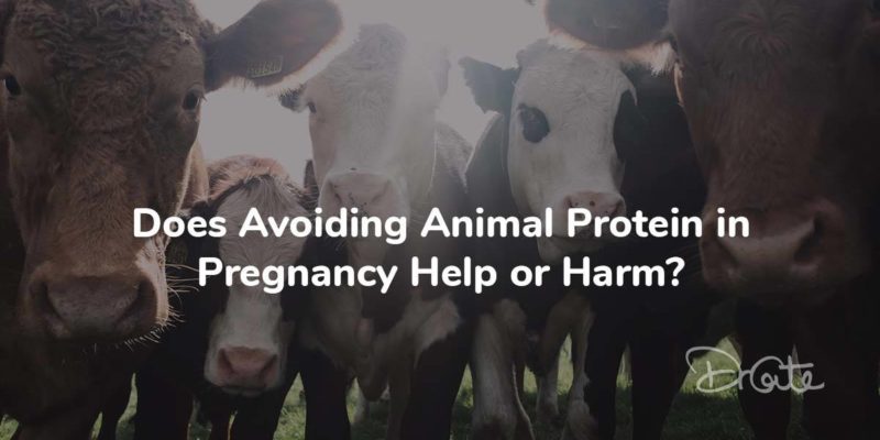 Does Avoiding Animal Protein In Pregnancy Help Or Harm?