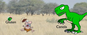 A superficial understanding of the Paleo diet can have you running into the grip of powerfully pro-inflammatory main-ingredients