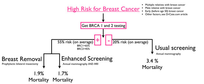 Angelina Jolie's Choice BRCA Treatment options
