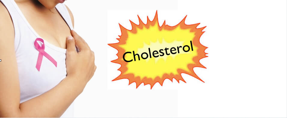 Cholesterol is now blamed for breast cancer. Learn what the science quoted in the media actually says.