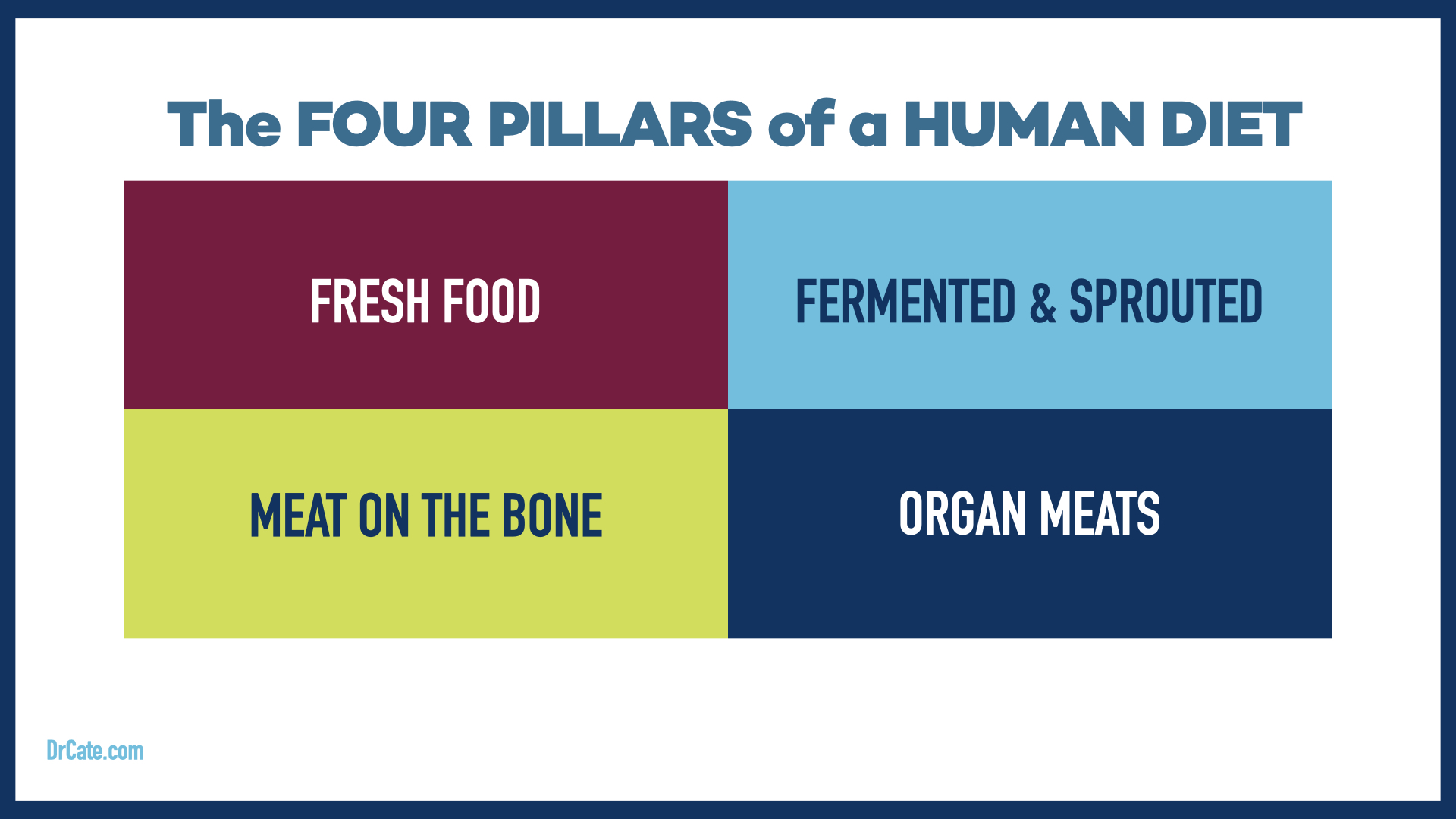 FOUR PILLARS OF THE HUMAN DIET