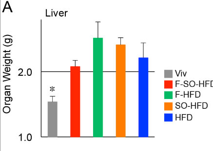 Rats eating soy oil without fructose have worse fatty liver than rats eating soy oil with fructose.