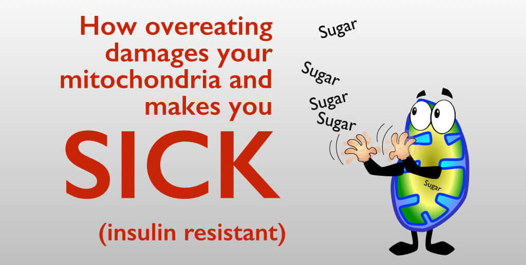 too much food causes insulin resistance