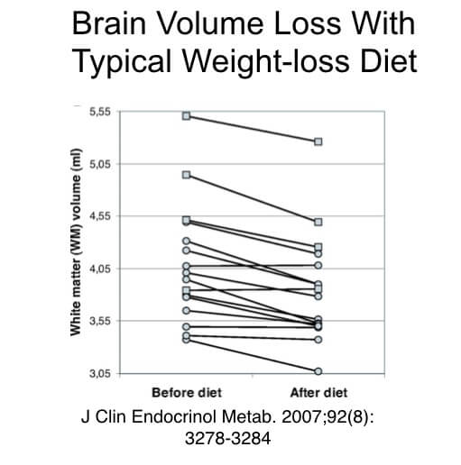 brain volume loss with standard diet