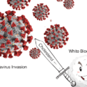Can HDL Over 60 Protect You From Coronavirus?