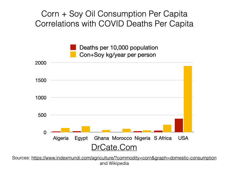 soy and corn oil consumption in Africa