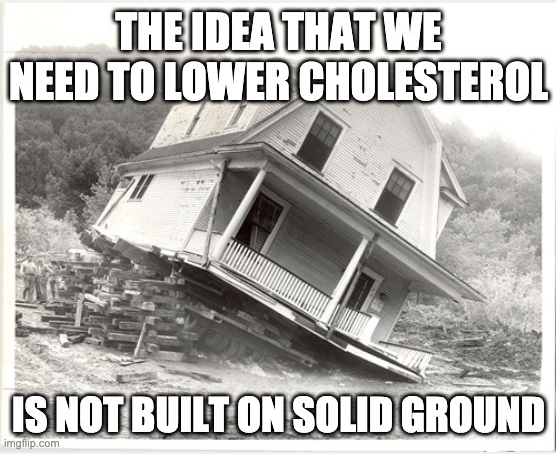 Cholesterol Myth Fallacy