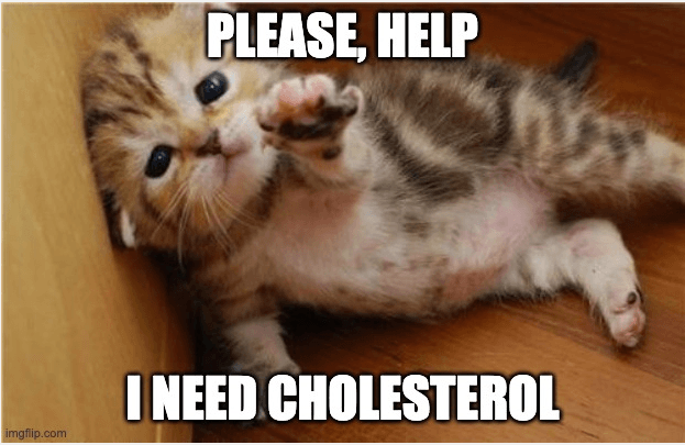 Cholesterol is not bad