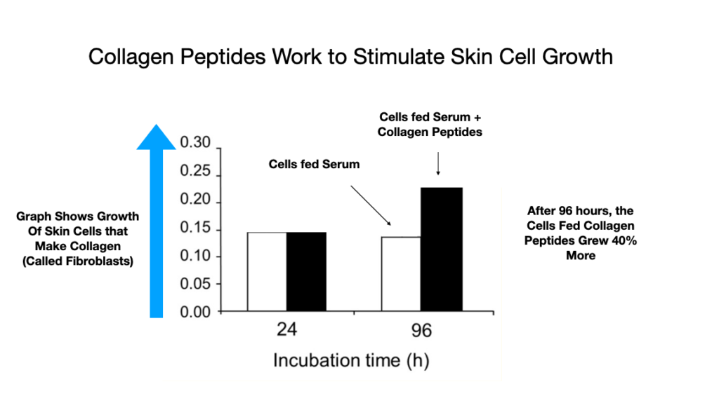 Do Collagen Supplements Work For Skin? This article suggests they do. It shows that after 4 days we see a 40% increase in growth in skin cells fed serum "supplemented" with collagen peptide compared to skin cells fed serum alone. 