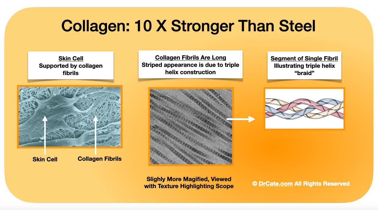 Collagen is 10x Stronger than Steel