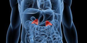 adrenal stress