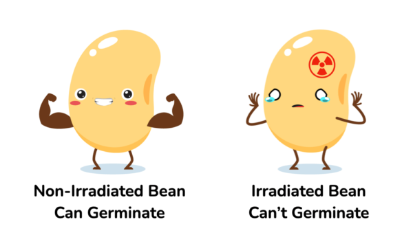 buy dry beans that have not been irradiated