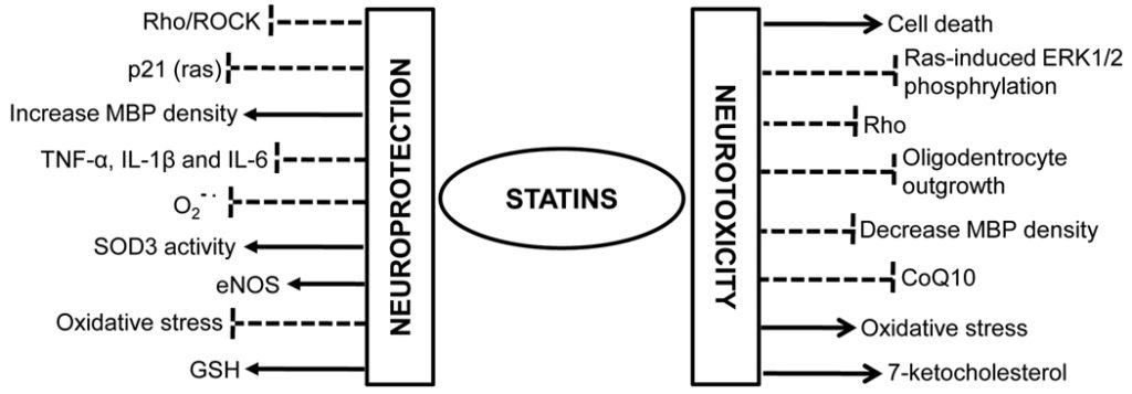 Statins are neurotoxic and neuroprotective