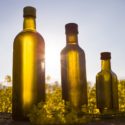 Seed Oils: Questions And Answers For Your Health