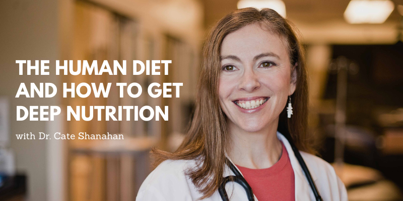 The Human Diet And How To Get Deep Nutrition