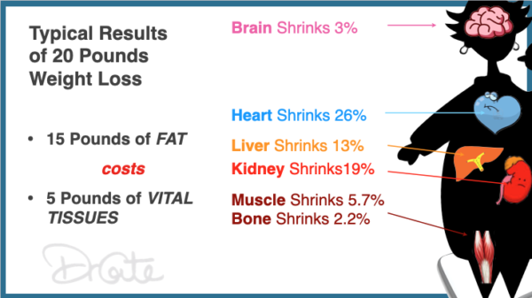 percentage of weight coming from six vital organs with typical weight loss