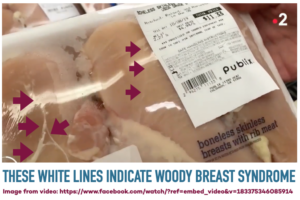 Chicken breast with WHITE LINES that INDICATE WOODY BREAST SYNDROME