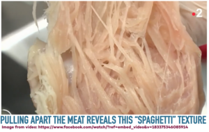 PSE MEAT showing “SPAGHETTI” TEXTURE