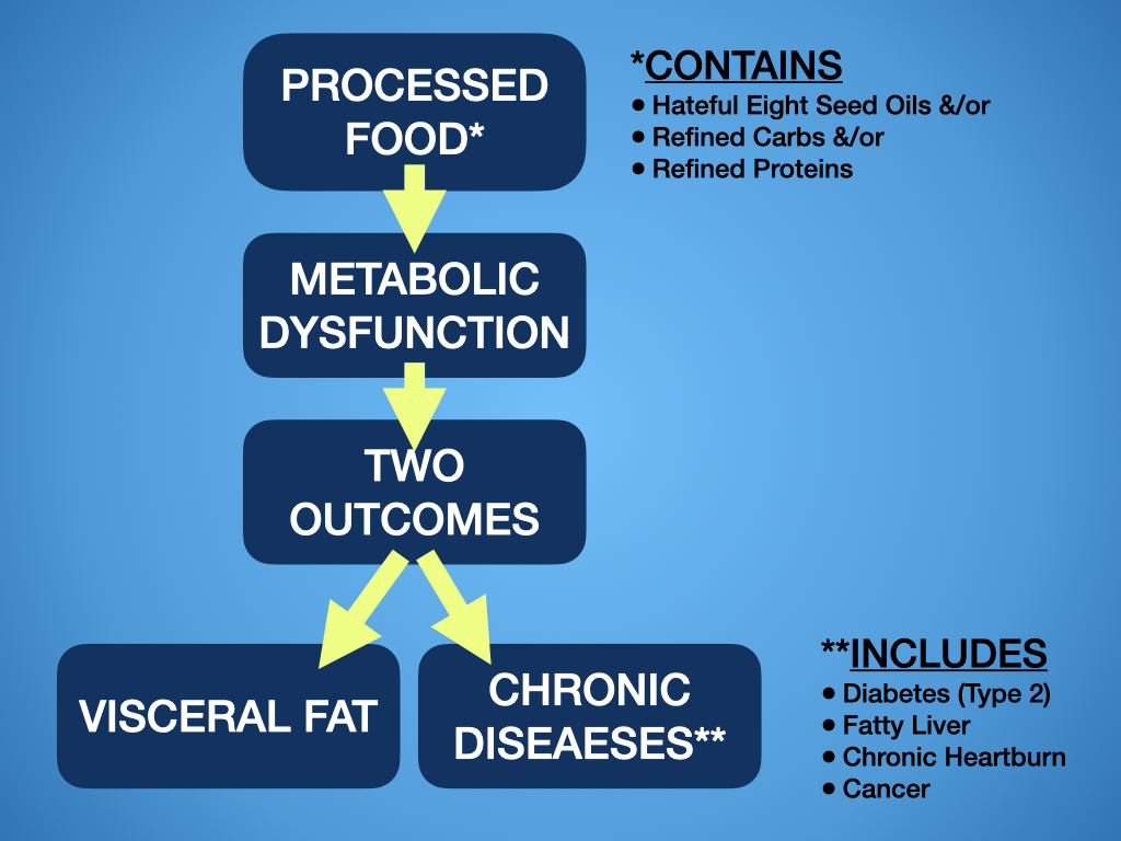 visceral fat flowchart