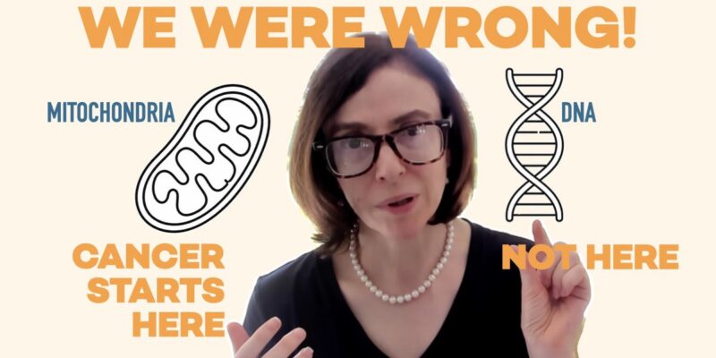 Mitochondria And DNA Are Shown As Candidates For The Cause Of Cancer
